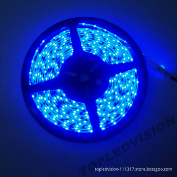 SMD3528 LED Strip IP65